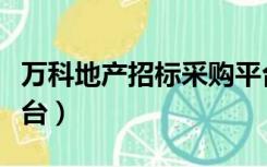 万科地产招标采购平台（万科集团招标采购平台）