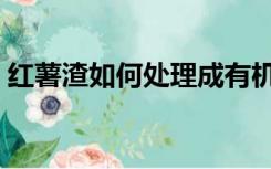 红薯渣如何处理成有机肥（红薯渣如何处理）