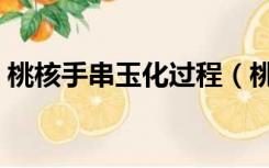 桃核手串玉化过程（桃核手串包浆玉化完图）