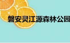 磐安灵江源森林公园有玻璃栈道吗多少米