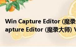 Win Capture Editor (魔录大师) V1.3 绿色免费版（Win Capture Editor (魔录大师) V1.3 绿色免费版功能简介）