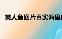 美人鱼图片真实海里的（美人鱼图片真实）