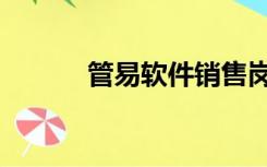 管易软件销售岗位（管易软件）
