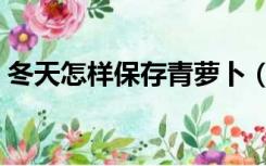 冬天怎样保存青萝卜（冬天青萝卜怎样储存）