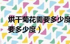 烘干菊花需要多少度,时间多长（烘干菊花需要多少度）
