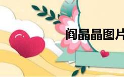 阎晶晶图片（阎晶晶）