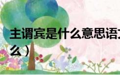 主谓宾是什么意思语文举例句子（主谓宾是什么）