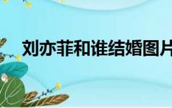 刘亦菲和谁结婚图片（刘亦菲和谁结婚）