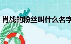 肖战的粉丝叫什么名字（肖战的粉丝叫什么）
