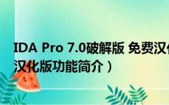 IDA Pro 7.0破解版 免费汉化版（IDA Pro 7.0破解版 免费汉化版功能简介）