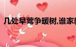 几处早莺争暖树,谁家新燕啄春泥是什么意思