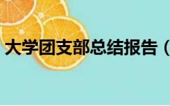 大学团支部总结报告（团支部工作总结大学）