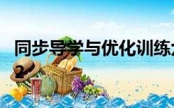 同步导学与优化训练六年级下册答案数学2022