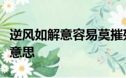 逆风如解意容易莫摧残什么意思翻译一下什么意思