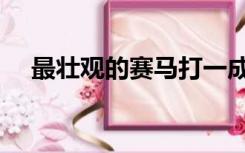 最壮观的赛马打一成语（赛马打一成语）