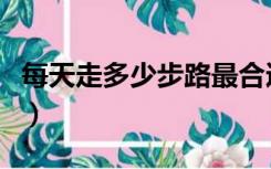 每天走多少步路最合适（每天走路多少步合适）