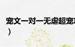 宠文一对一无虐超宠攻（宠文一对一无虐超宠）