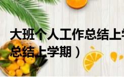 大班个人工作总结上学期简单（大班个人工作总结上学期）