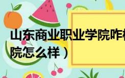山东商业职业学院咋样（山东商业职业技术学院怎么样）
