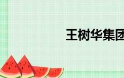 王树华集团（王树华）