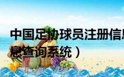 中国足协球员注册信息查询（中国足协注册信息查询系统）