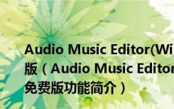 Audio Music Editor(Windows音频编辑软件) V3.3 免费版（Audio Music Editor(Windows音频编辑软件) V3.3 免费版功能简介）