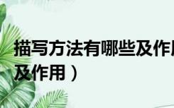 描写方法有哪些及作用初中（描写方法有哪些及作用）
