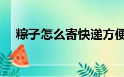 粽子怎么寄快递方便（粽子怎么寄快递）