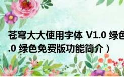 苍穹大大使用字体 V1.0 绿色免费版（苍穹大大使用字体 V1.0 绿色免费版功能简介）