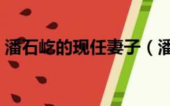 潘石屹的现任妻子（潘石屹的三任妻子介绍）