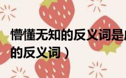 懵懂无知的反义词是成熟自主吗啊（懵懂无知的反义词）