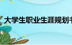 大学生职业生涯规划书职业价值观看重什么
