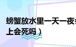 螃蟹放水里一天一夜会死吗（螃蟹放水里一晚上会死吗）