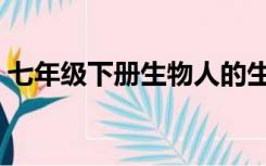 七年级下册生物人的生殖（七年级下册生物）