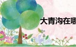 大青沟在哪（大青沟）