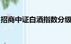 招商中证白酒指数分级基金是什么类型的基金