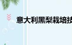 意大利黑梨栽培技术（意大利黑梨）