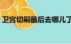 卫宫切嗣最后去哪儿了（卫宫切嗣怎么死的）