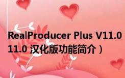 RealProducer Plus V11.0 汉化版（RealProducer Plus V11.0 汉化版功能简介）