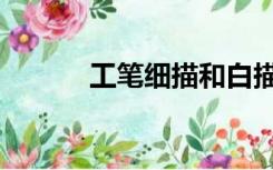 工笔细描和白描的区别（工笔）