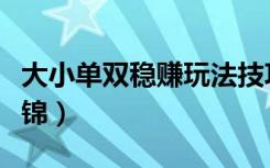 大小单双稳赚玩法技巧（大小单双稳赚技巧集锦）