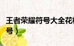 王者荣耀符号大全花样符号（符号大全花样符号）