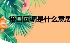 接口回调是什么意思（回调是什么意思）