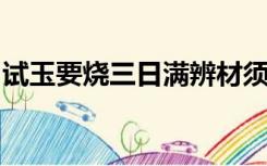 试玉要烧三日满辨材须待七年期涉及哪两个人