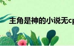 主角是神的小说无cp（主角是神的小说）