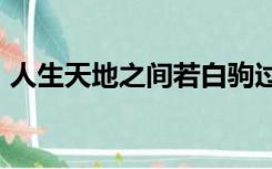 人生天地之间若白驹过隙忽然而已什么意思?