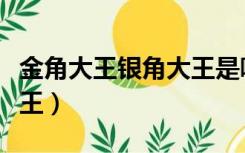 金角大王银角大王是哪一回（金角大王银角大王）