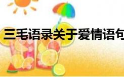 三毛语录关于爱情语句（三毛语录关于爱情）