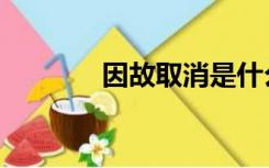 因故取消是什么意思（因故）
