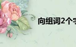 向组词2个字（向组词）